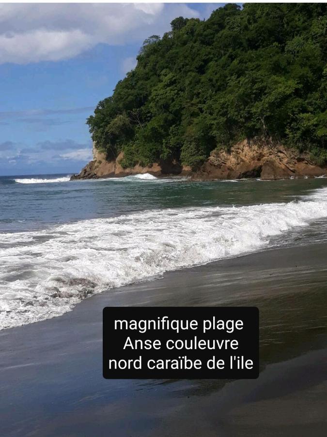 A La Montagne Apartment Le Morne-Vert ภายนอก รูปภาพ