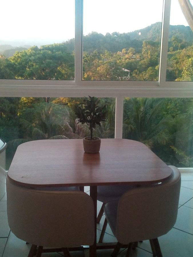 A La Montagne Apartment Le Morne-Vert ภายนอก รูปภาพ