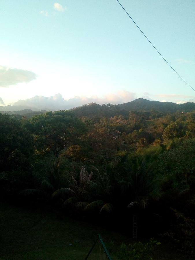 A La Montagne Apartment Le Morne-Vert ภายนอก รูปภาพ